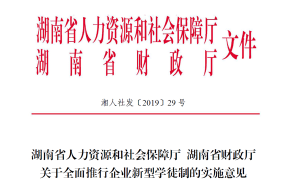 湖南省人力资源和社会保障厅 湖南省财政厅关于全面推行企业新型学徒制的实施意见